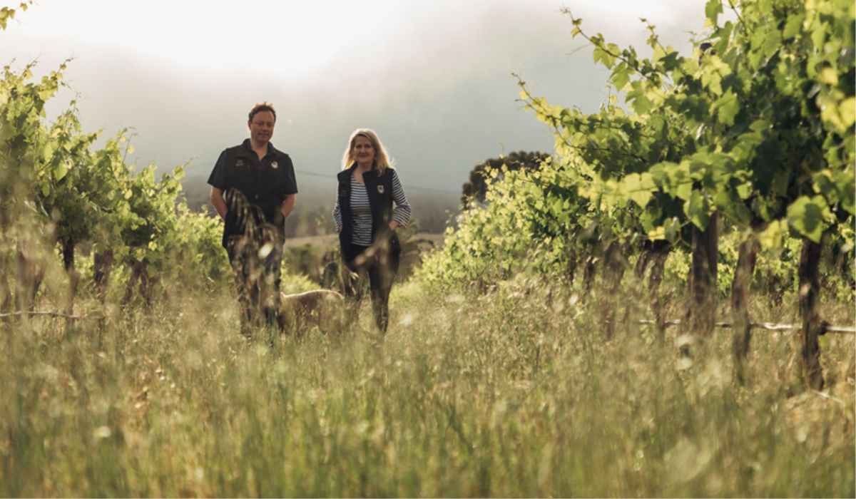 Wine Industry Mentor Program 2025